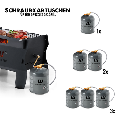 Schraubkartuschen für BruzzLee Gasgrill (500g - Propan-Butan-Mix)